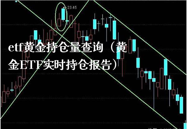 etf黄金持仓量查询（黄金ETF实时持仓报告）