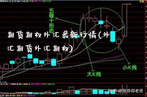 期货期权外汇最新行情(外汇期货外汇期权)_https://www.boyangwujin.com_道指期货_第1张