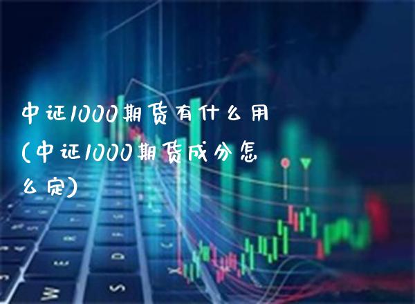 中证1000期货有什么用(中证1000期货成分怎么定)