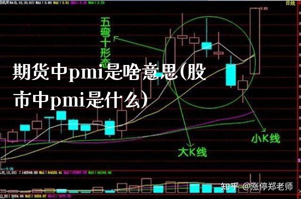 期货中pmi是啥意思(股市中pmi是什么)