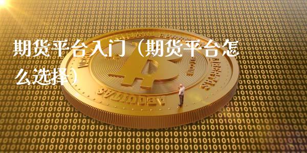 期货平台入门（期货平台怎么选择）_https://www.boyangwujin.com_期货直播间_第1张