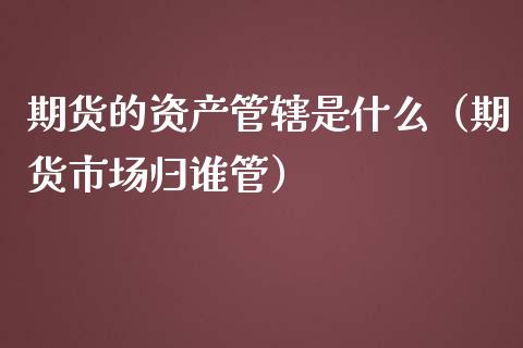 期货的资产管辖是什么（期货市场归谁管）