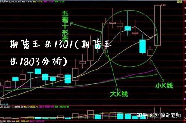 期货玉米1301(期货玉米1803分析)